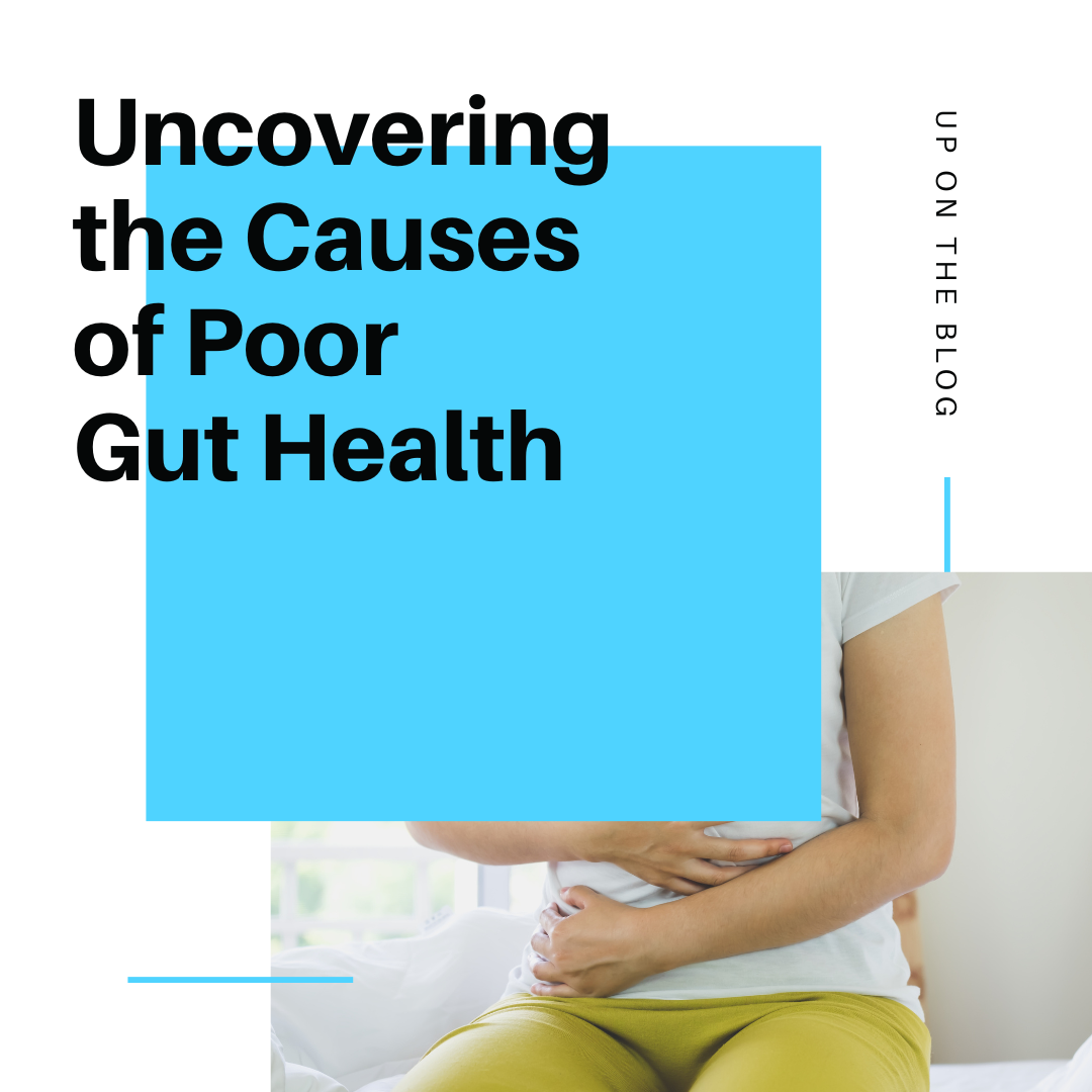 uncovering-the-causes-of-poor-gut-health-anja-mertl