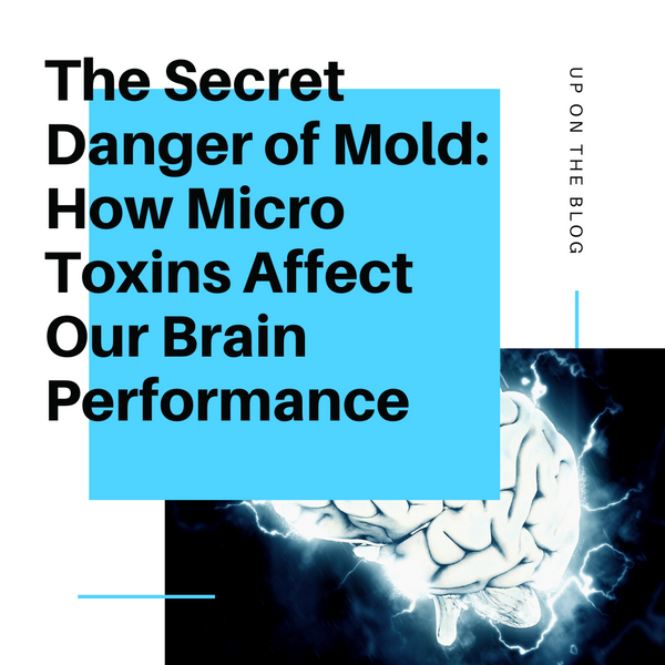 The Secret Danger of Mold: How Micro Toxins Affect Our Brain Performance