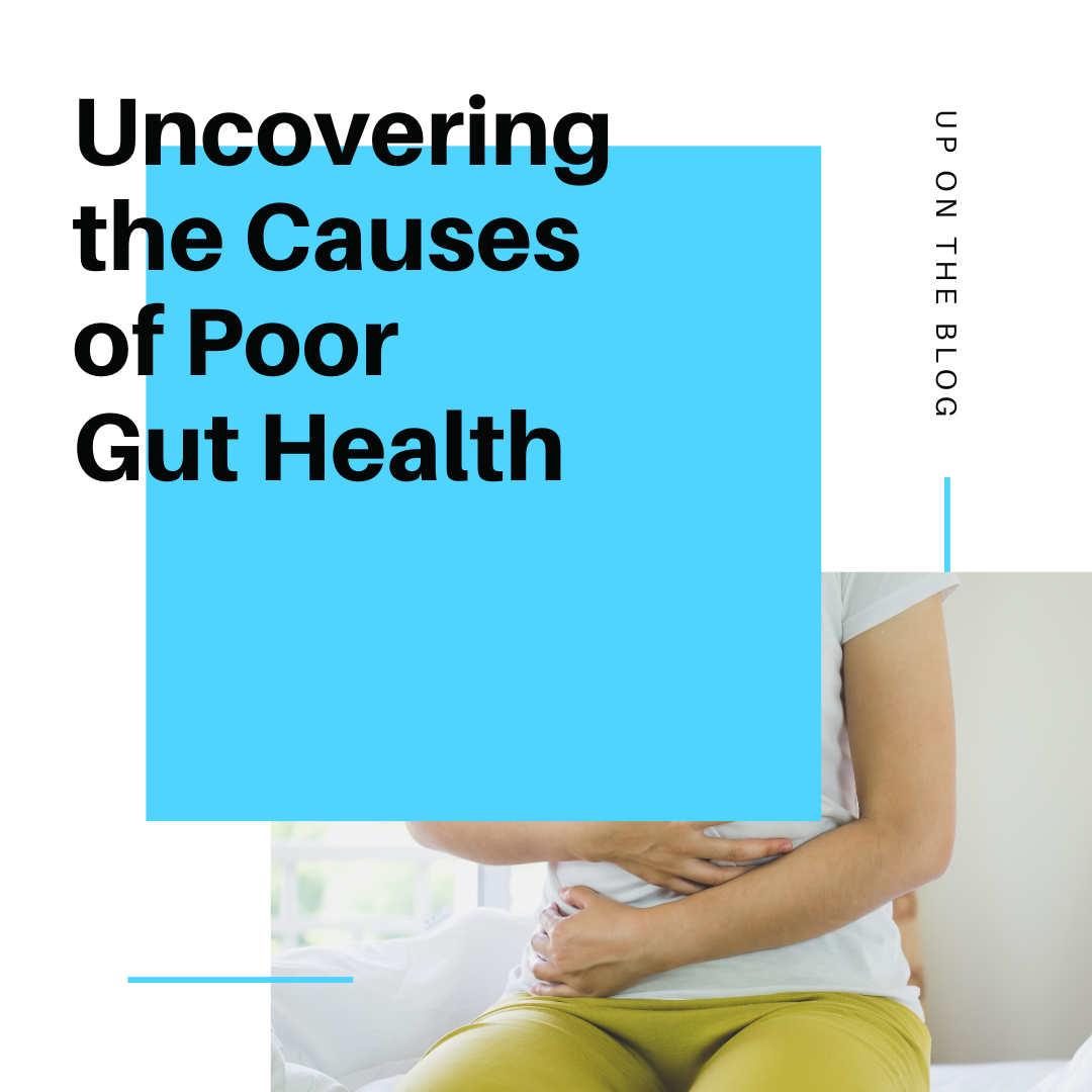 Uncovering the Causes of Poor Gut Health