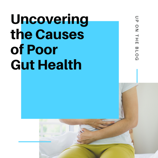 Uncovering the Causes of Poor Gut Health